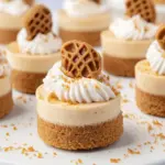 Mini Biscoff Cheesecakes