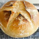 Speedy Same Day Sourdough Bread