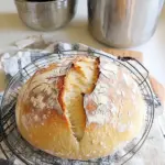 Speedy Same Day Sourdough Bread Recipe