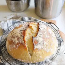 Speedy Same Day Sourdough Bread Recipe